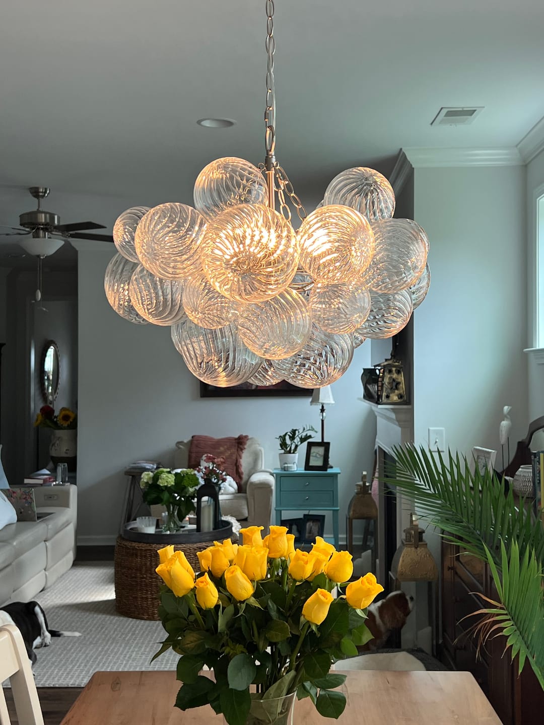 Ribbed Glass Bubble Semiflush Chandelier